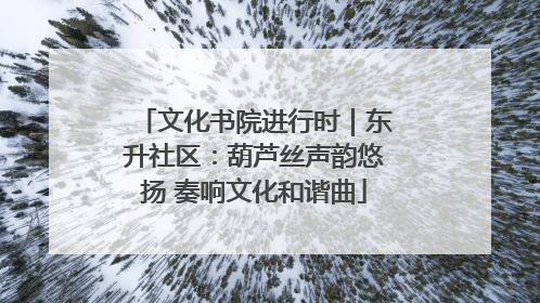 文化书院进行时｜东升社区：葫芦丝声韵悠扬 奏响文化和谐曲