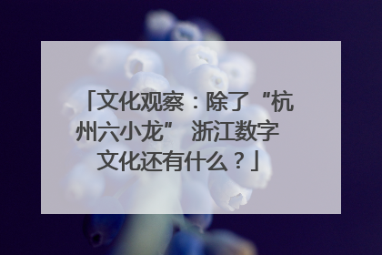 文化观察：除了“杭州六小龙” 浙江数字文化还有什么？