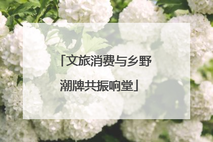 文旅消费与乡野潮牌共振响堂