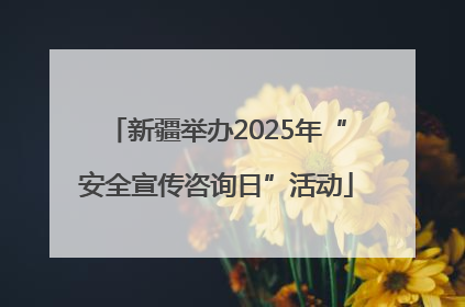 新疆举办2025年“安全宣传咨询日”活动
