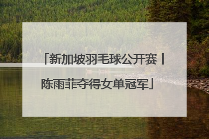 新加坡羽毛球公开赛丨陈雨菲夺得女单冠军
