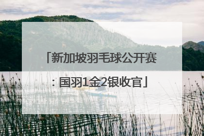 新加坡羽毛球公开赛：国羽1金2银收官