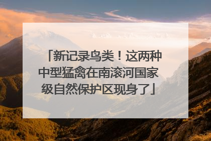 新记录鸟类！这两种中型猛禽在南滚河国家级自然保护区现身了