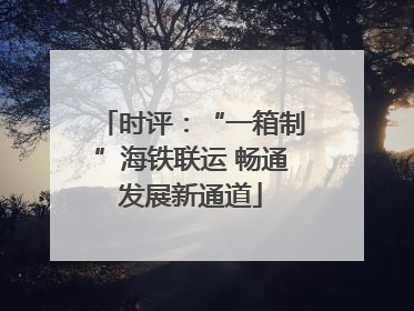 时评：“一箱制”海铁联运 畅通发展新通道
