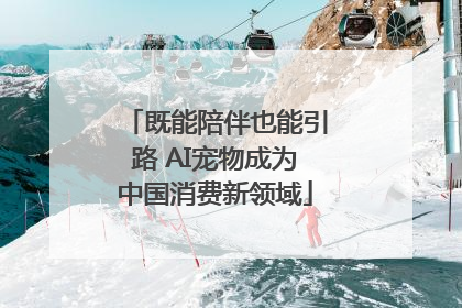 既能陪伴也能引路 AI宠物成为中国消费新领域