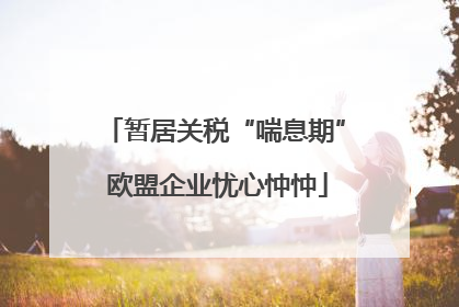 暂居关税“喘息期” 欧盟企业忧心忡忡