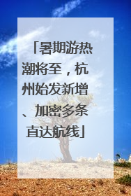 暑期游热潮将至，杭州始发新增、加密多条直达航线