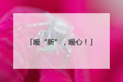 暖“新”，暖心！