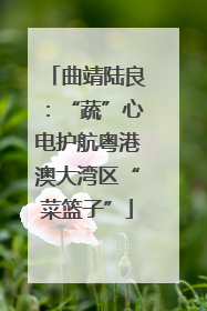 曲靖陆良：“蔬”心电护航粤港澳大湾区“菜篮子”