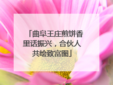 曲阜王庄煎饼香里话振兴，合伙人共绘致富图