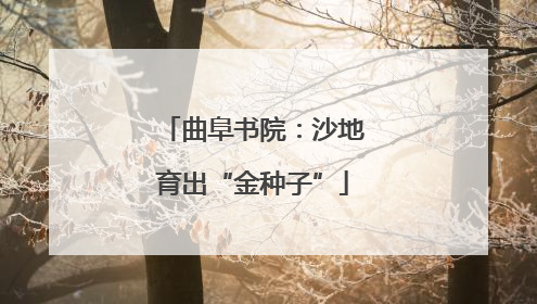 曲阜书院：沙地育出“金种子”