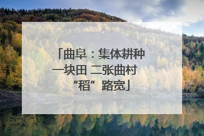 曲阜：集体耕种一块田 二张曲村“稻”路宽