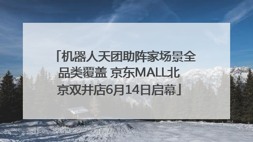 机器人天团助阵家场景全品类覆盖 京东MALL北京双井店6月14日启幕