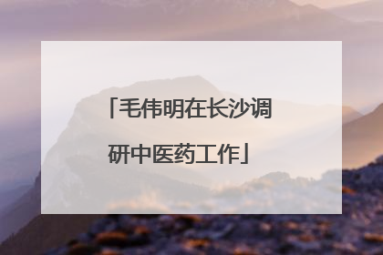 毛伟明在长沙调研中医药工作