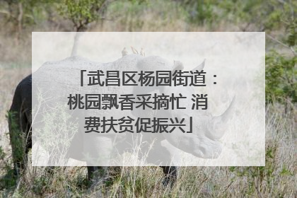 武昌区杨园街道：桃园飘香采摘忙 消费扶贫促振兴