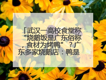 武汉一高校食堂称“烧鹅饭是广东俗称，食材为烤鸭”？广东多家烧鹅店：鸭是鸭鹅是鹅