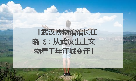 武汉博物馆馆长任晓飞：从武汉出土文物看千年江城变迁