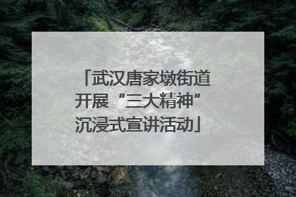 武汉唐家墩街道开展“三大精神”沉浸式宣讲活动