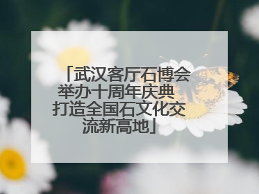 武汉客厅石博会举办十周年庆典 打造全国石文化交流新高地