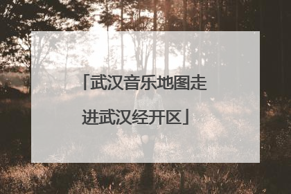 武汉音乐地图走进武汉经开区