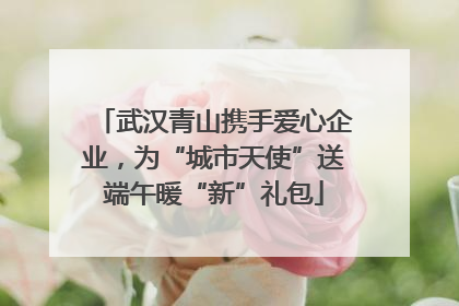 武汉青山携手爱心企业，为“城市天使”送端午暖“新”礼包