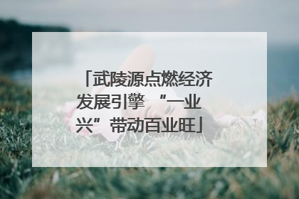 武陵源点燃经济发展引擎 “一业兴”带动百业旺