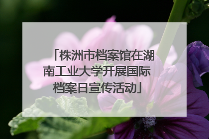 株洲市档案馆在湖南工业大学开展国际档案日宣传活动