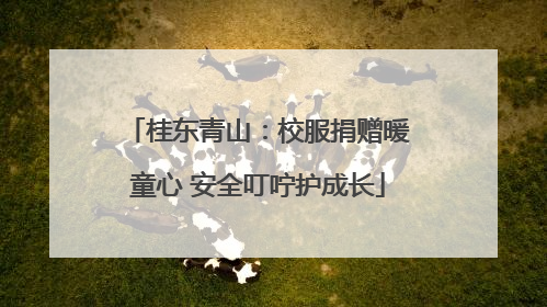 桂东青山：校服捐赠暖童心 安全叮咛护成长