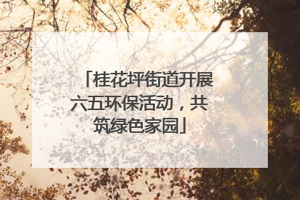 桂花坪街道开展六五环保活动，共筑绿色家园