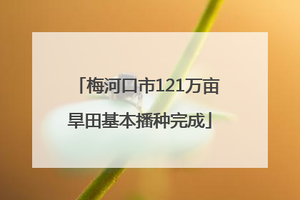 梅河口市121万亩旱田基本播种完成