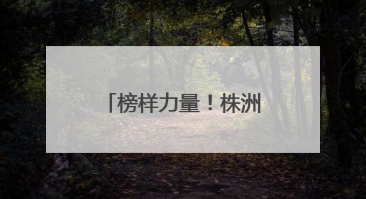 榜样力量！株洲一批“热血英雄”受省级表彰