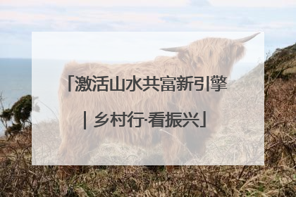 激活山水共富新引擎｜乡村行·看振兴