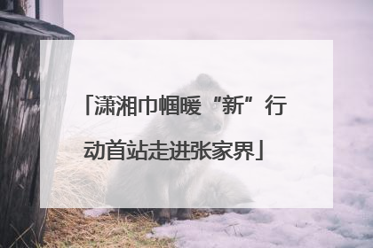 潇湘巾帼暖“新”行动首站走进张家界