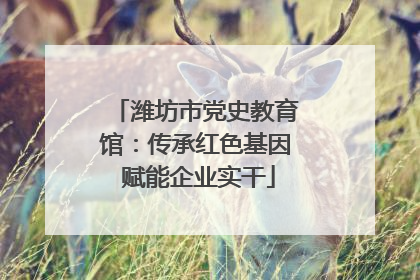 潍坊市党史教育馆：传承红色基因 赋能企业实干