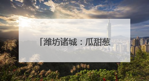 潍坊诸城：瓜甜葱郁处 产业好风光