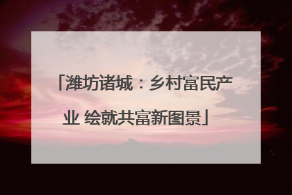 潍坊诸城：乡村富民产业 绘就共富新图景