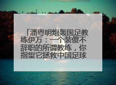潘粤明炮轰国足教练伊万：一个装傻不辞职的所谓教练，你指望它拯救中国足球！此前曾多次发文评价国足