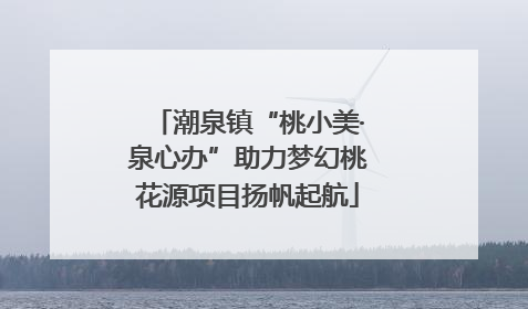 潮泉镇“桃小美·泉心办”助力梦幻桃花源项目扬帆起航