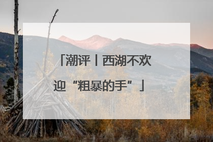 潮评丨西湖不欢迎“粗暴的手”