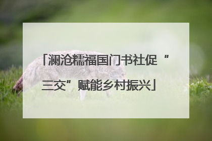 澜沧糯福国门书社促“三交”赋能乡村振兴