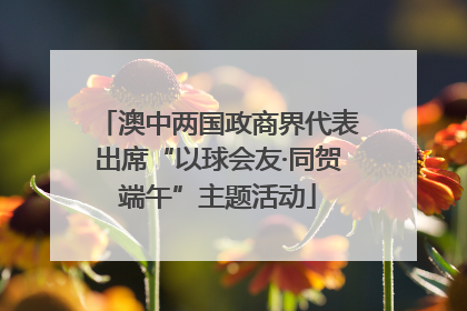 澳中两国政商界代表出席“以球会友·同贺端午”主题活动