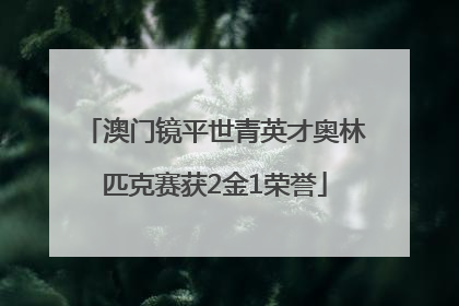澳门镜平世青英才奥林匹克赛获2金1荣誉