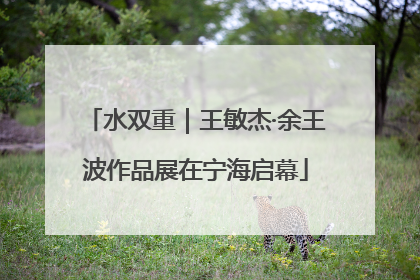 水双重｜王敏杰·余王波作品展在宁海启幕