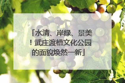 水清、岸绿、景美！武庄渡槽文化公园的面貌焕然一新