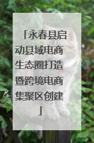 永春县启动县域电商生态圈打造暨跨境电商集聚区创建