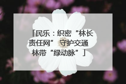 民乐：织密“林长责任网” 守护交通林带“绿动脉”