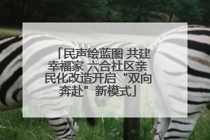 民声绘蓝图 共建幸福家 六合社区亲民化改造开启“双向奔赴”新模式