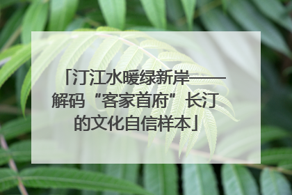 汀江水暖绿新岸——解码“客家首府”长汀的文化自信样本