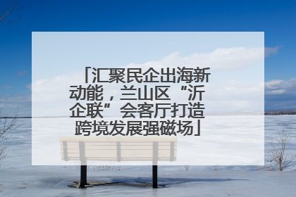 汇聚民企出海新动能，兰山区“沂企联”会客厅打造跨境发展强磁场