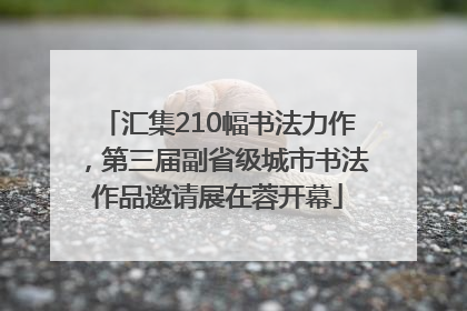 汇集210幅书法力作，第三届副省级城市书法作品邀请展在蓉开幕
